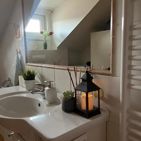 Podkrovni S Balkonem Séjour chez l'habitant Ostrava