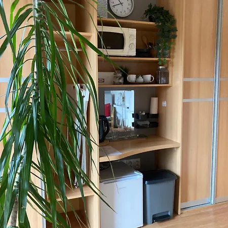 Séjour chez l'habitant Podkrovni S Balkonem Ostrava
