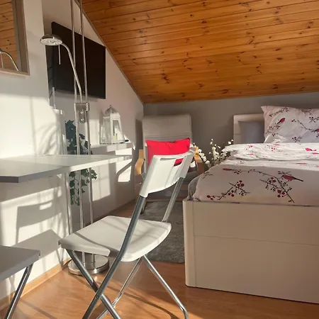 Podkrovni S Balkonem Острава