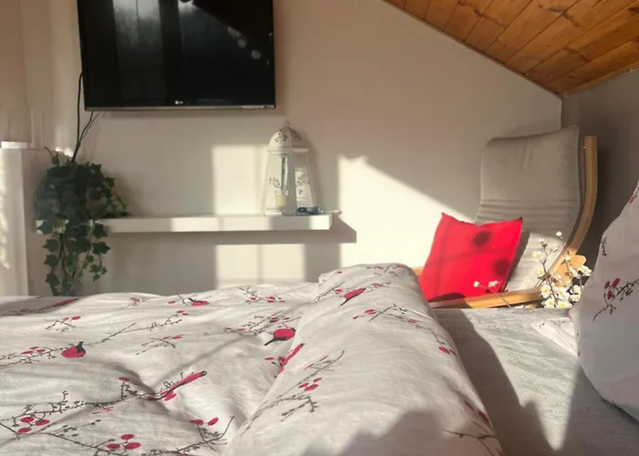 Podkrovní S Balkónem Alloggio in famiglia *