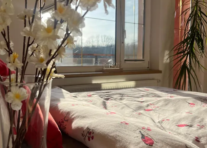 Alloggio in famiglia Podkrovní S Balkónem *