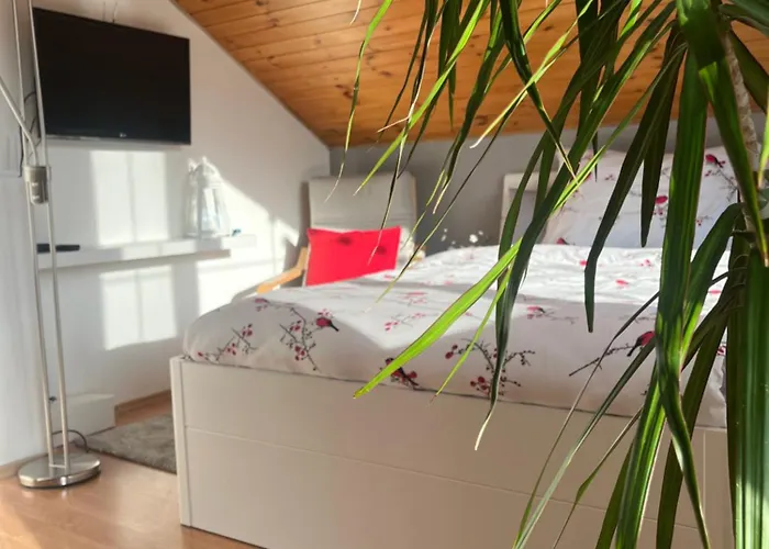 Podkrovní S Balkónem Alloggio in famiglia Ostrava